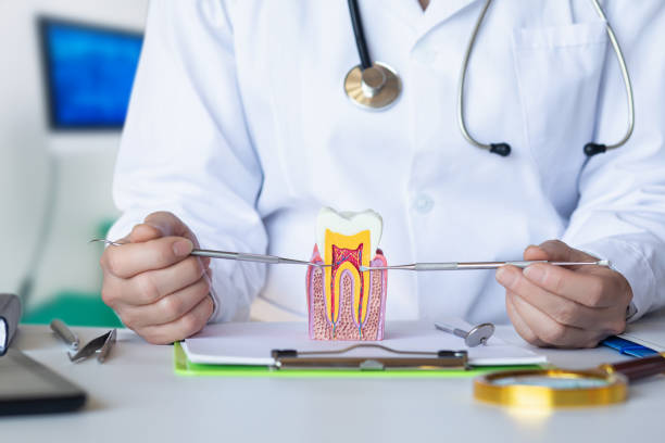 Best Urgent Care for Lost Fillings or Crowns in Enid, OK
